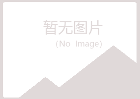 鹤岗南山彩虹化学有限公司